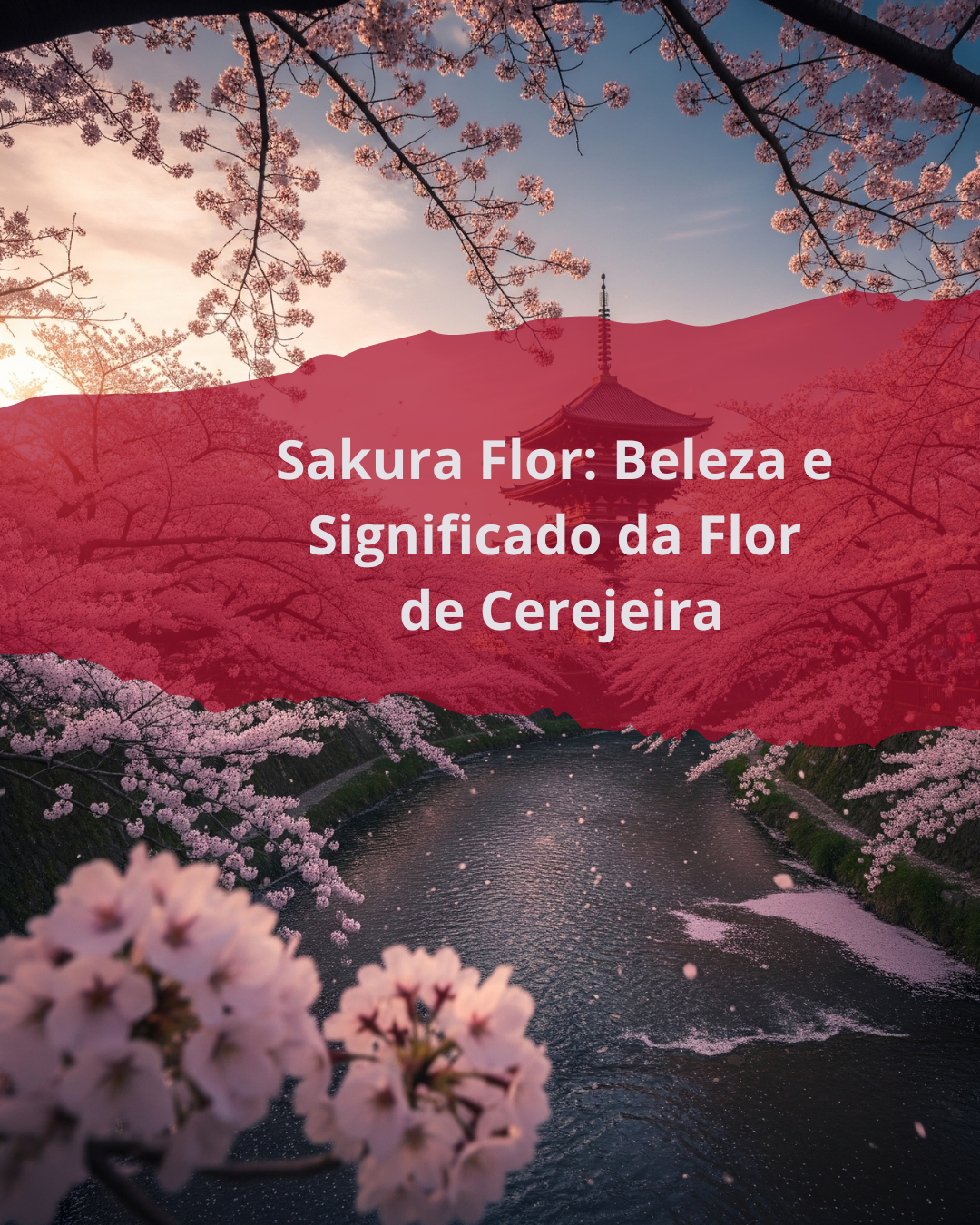 Parte 6: Sakura Flor